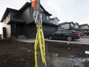 A piece of police tape is tied to a tree as police continue to investigate after two people were found dead inside a car near 173 Street and 11 Avenue SW, in Edmonton, Alta. on Saturday Oct. 31, 2015. Police were called to the Windermere neighbourhood after a resident found two bodies in a vehicle around 7:39 p.m. Oct. 30, 2015. David Bloom/Edmonton Sun/Postmedia Network