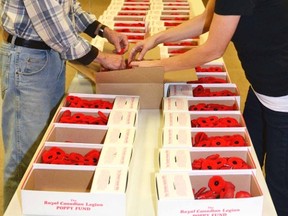 Jim Wright, a 43-year volunteer with the Poppy Campaign in Mitchell, and Poppy chair Tracey Phillips constructed the poppy boxes at the Mitchell Legion Oct. 30 that will be distributed to businesses, schools and churches throughout Mitchell, Dublin and Monkton. GALEN SIMMONS/MITCHELL ADVOCATE