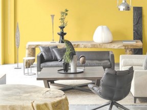 Soothing nature-based colours round out Sico Paints 2016 colour palette, with the yellow-gold shade called Buckwheat Yellow topping the chart.