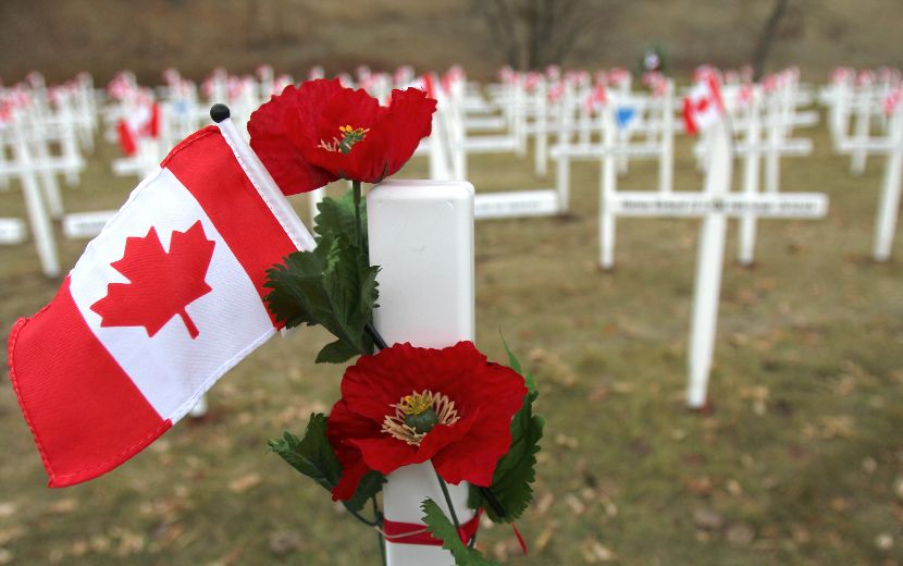 IN FLANDERS FIELDS POEM By - Elgin County Library