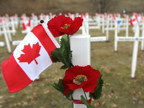 A field of crosses, flags and flowers honour Alberta's fallen war veterans in Calgary, Alta., on Nov. 6, 2012. The field of crosses began in 2009 as an attempt to replicate Flanders Fields, and to remind people to pay their respects to the local soldiers who died at war. (Jim Wells/Calgary Sun/Postmedia Network)