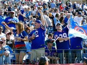 Fans of the Buffalo Bills cheer after the go ahead touchdown against the Tennessee Titans during the second half of a game at Nissan Stadium on October 11, 2015 in Nashville, Tennessee.   Frederick Breedon/Getty Images/AFP