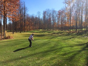 On this par-three at the Seaforth Golf & Country Club, 90-year-old Olave Little nearly birdied the hole.(Contributed photo)