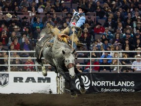 Luke Butterfield (Ponoka, AB) during the Saddle Bronc Riding event at the sixth and final go round of the Canadian Finals Rodeo at Rexall Place, in Edmonton Alta., on Sunday Nov. 9, 2014. David Bloom/Edmonton Sun/QMI Agency