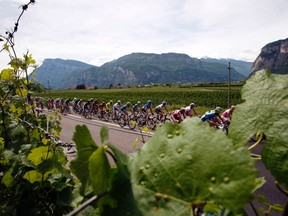 The pack of riders cycle during the 173km 16th stage from Limone sul Garda to Falzes of the Giro d'Italia May 22, 2012. REUTERS/Alessandro Garofalo