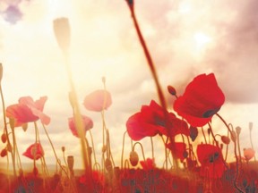 Remembrance Day