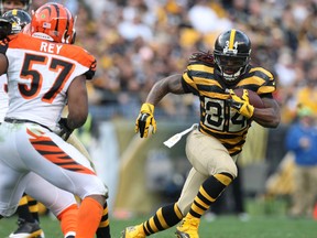 DeAngelo Williams takes over for injured Le'Veon Bell as the Steelers’ No. 1 running back. (Jason Bridge/USA TODAY Sports)