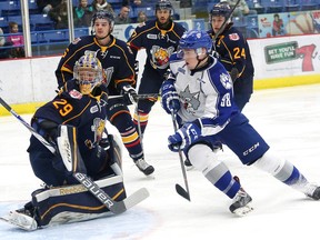 Dmitry Sokolov, right, of the Sudbury Wolves, looks for the puck as goalie Mackenzie Blackwood, of the Barrie Colts, looks on during OHL action at the Sudbury Community Arena in Sudbury, Ont. on Friday, November 6, 2015. Sokolov hit the 30-goal mark in an 11-4 loss in Barrie on Saturday. John Lappa/Sudbury Star/Postmedia Network