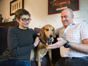 Norm Wilner and partner Kate Atherley with their dog Dexter in Toronto. The couple regret not getting pet insurance for their dog. (Ernest Doroszuk/Toronto Sun)