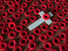 Remembrance Day Poppies  (Tony Caldwell/Ottawa Sun/Postmedia Network)