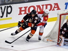 Kevin Bieksa battles Florida Panthers forward Jaromir Jagr for the puck during a Nov. 4 game in Anaheim. (AP Photo)