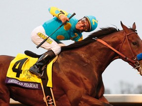 American Pharoah, with Victor Espinoza up, wins the Breeders’ Cup Classic at Keeneland race track Saturday, Oct. 31, 2015, in Lexington, Ky. (AP Photo/Brynn Anderson)