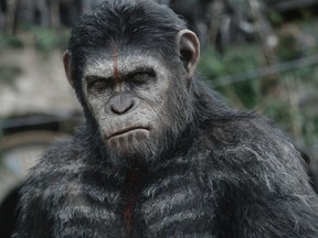 Actor Andy Serkis is seen in his role as Caesar in "Dawn of the Planet of the Apes" in this publicity photo released to Reuters June 30, 2014.