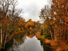 Nolin Creek, as seen in October 2015. (Mary Katherine Keown/Sudbury Star)