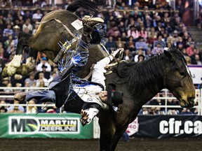 Cole Goodine, of Carbon, falls during the bareback riding event Thursday during the 42nd Canadian Finals Rodeo at Rexall Place. (Codie McLachlan, Edmonton Sun)