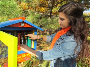 Little free libraries continue to spring up along cottage lanes and old neighbourhoods, allowing old books to make new friends. (Postmedia Network file photo)