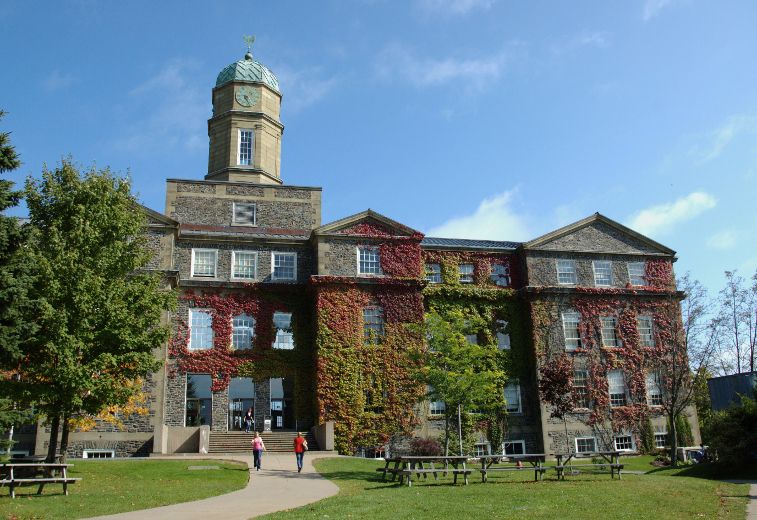 Suspended Dalhousie med student facing sex assault charge Toronto Sun