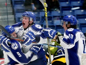 The Sudbury Wolves celebrate a goal during OHL action against the North Bay Battalion at the Sudbury Community Arena in Sudbury, Ont. on Friday November 13, 2015. John Lappa/Sudbury Star/Postmedia Network