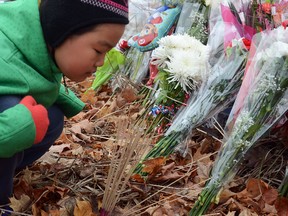 Eight-year-old Elianne Zhou blows on the coals of ceremonial incense set up outside a row of flowers laid against the Embassy of France at 42 Sussex Dr. on Saturday Nov. 14, 2015. Ottawa residents came out to pay their respects to the victims of Friday's Paris terror attacks.
SAM COOLEY / OTTAWA SUN