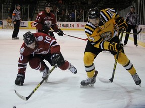 Guelph Storm defenceman Austin Hall dives to keep a loose puck away from Sarnia Sting forward Jordan Kyrou during the Ontario Hockey League game at the Sarnia Sports and Entertainment Centre Saturday night. Kyrou scored twice in a 7-0 Sarnia victory. Terry Bridge/Sarnia Observer/Postmedia Network