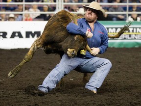 Straws Milan (Cochrane, AB) takes part in the Steer Wrestling event during the final day of the Canadian Finals Rodeo at Rexall Place, in Edmonton, Alta. on Sunday Nov. 15, 2015. David Bloom/Edmonton Sun/Postmedia Network