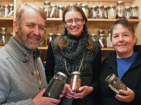 From left, Dr. John Navazio, expert plant breeder, Cate Henderson, seed saver at the Heirloom Seed Sanctuary, and Sister Alda Brandy, fellow seed saver at HSS,  in Kingston, Ont. on Sunday November 15, 2015. . Steph Crosier/Kingston Whig-Standard/Postmedia Network
