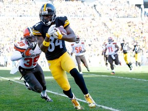 Antonio Brown had another huge day for the Steelers. (AFP)