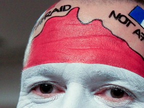 A fan with French flags painted on his face is pictured before the Euro 2016 qualifying match vetween Hungary and Norway Sunday. (REUTERS/Bernadett Szabo)