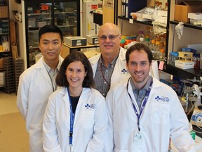 Research team members (left to right): Will Wang, Caroline Brun, Dr. Michael Rudnicki and Dr. Nicolas Dumont are shown in a handout photo. Canadian researchers have made a discovery about muscle stem cells that may pave the way for more effective treatments for Duchenne muscular dystrophy. THE CANADIAN PRESS/HO-Ottawa Hospital Research Institute