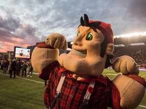 Big Joe during the game between the Ottawa REDBLACKS and the Hamilton Tiger-Cats. Saturday, November 7, 2015. (PHOTO: JOHANY JUTRAS)