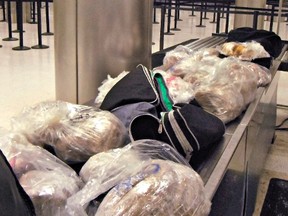 This undated photo released by the U.S. Customs and Border Protection (CBP) shows seized 450 prohibited pork meat tamales discovered inside the luggage of a passenger arriving at the Los Angeles International Airport (LAX) from Mexico, on Nov. 2, 2015, in Los Angeles. “Although tamales are a popular holiday tradition, foreign meat products can carry serious animal diseases from countries affected by outbreaks of Avian Influenza, Mad Cow and Swine Fever said Anne Maricich, CBP Acting Director of Field Operations in Los Angeles. (U.S. Customs and Border Protection via AP)