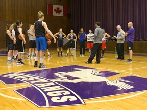 Coach Brian Cheng briefs the Western Mustangs women?s basketball team at the beginning of a practice at Alumni Hall this week. (CRAIG GLOVER, The London Free Press)