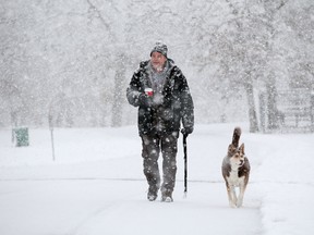 Al Frelk of Elgin, Ill., walks his dog, Shiba, 10, in Lords Park in Elgin on Saturday, Nov. 21, 2015.  The first significant snowstorm of the season blanketed some parts of the Midwest with more than a foot of snow and more was on the way Saturday, creating hazardous travel conditions and flight delays. (Stacey Wescott /Chicago Tribune via AP)