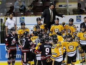 Sarnia Sting assistant coach Chris Lazary, top, and head coach Derian Hatcher, right, urge their Ontario Hockey League team to calm down during a scrum with the Niagara IceDogs at the end of the second period Saturday night at the Sarnia Sports and Entertainment Centre. The feisty affair ended 6-2 in Sarnia's favour. Terry Bridge/Sarnia Observer/Postmedia Network