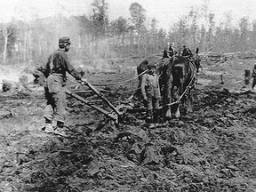 Farmers locked in back-breaking labour, like the one above shown plowing a rocky field, were all too common in Ontario’s early homesteading drive in the province’s north and east, especially after more lucrative settlement opportunities arose in the richer soils of Manitoba. (Special to Postmedia Network photo)