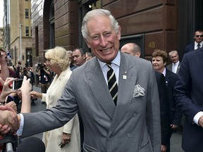 Prince Charles.  REUTERS/Saeed Khan/POOL/File Photo