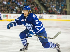Toronto Marlies' William Nylander is looking like the real deal for the Leafs' AHL outfit. (Sun Files)