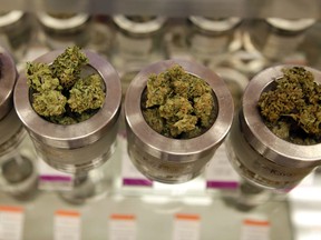 In this June 26, 2015, file photo, different varieties of marijuana flowers are displayed at medical marijuana dispensary in Portland, Ore. (AP PHOTO)