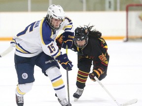 Guelph Gryphons' Mackenzie Wong chases down Laurentian  Voyaguers Ellery Veerman during women's OUA hockey action  in Sudbury, Ont. on Sunday November 22, 2015. Guelph defeated Laurentian 3-2