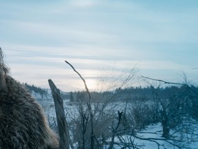 Leonardo DiCaprio as Hugh Glass, in a scene from the film, "The Revenant," directed by Alejandro Gonzalez Inarritu. (Courtesy Twentieth Century Fox)