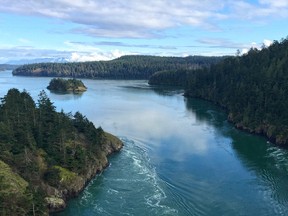 In this Feb. 14, 2015 photo, white water curls around Pass Island as small Strawberry Island appear from Deception Pass Bridge in Deception Pass State Park, Whidbey Island, Wash. Deception Pass, located about 80 miles from Seattle, is the name of the strait that divides Washington’s Whidbey Island from Fidalgo Island. (AP Photo/Jonathan Elderfield)
