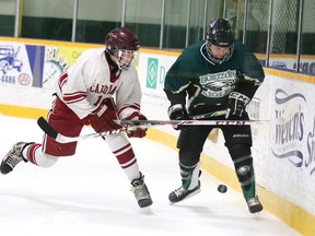 St. Charles Cardinals Bryceton Lalonde and ESC Horizon's Bryson McLoughlin fight for the puck during senior boys high school hockey in Sudbury, Ont. on Wednesday November 25, 2015.