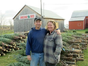 Jim and Deni Lavers, owners of The Christmas Farm on the Forest Road, stand among the freshly-arrived shipment of 5,000 trees from Guysborough, N.S. on Tuesday. (Patrick Kennedy/The Whig-Standard)