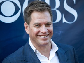 Michael Weatherly (WENN.COM)