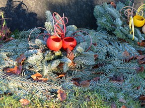 You want to bring home boughs that are as fresh as possible. Pine, cedar and spruce are the basic greens used in most arrangements.