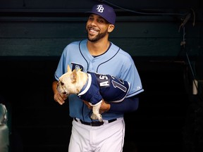 David Price, then with the Tampa Bay Rays, brings his dog Astro out onto Tropicana Field on April 21, 2013 in St. Petersburg, Florida. (J. Meric/Getty Images/AFP)