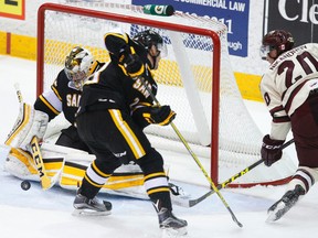 Peterborough Petes' Daniel Nikandrov fires the puck at Sarnia Sting's goalie Justin Fazio during first period OHL action on Thursday November 26, 2015 at the Memorial Centre in Peterborough, Ont. (Clifford Skarstedt/Peterborough Examiner/Postmedia Network)