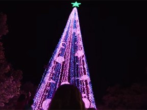 A tree in downtown Canberra, Australia, with 518,838 twinkling lights broke the record for the most lights on an artificial Christmas tree. (YouTube screengrab)