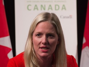 Canadian Minister of Environment and Climate Change Catherine McKenna speaks during a news conference in Paris, France. THE CANADIAN PRESS/Adrian Wyld