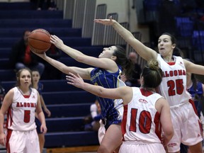 Laurentian Algoma basketball